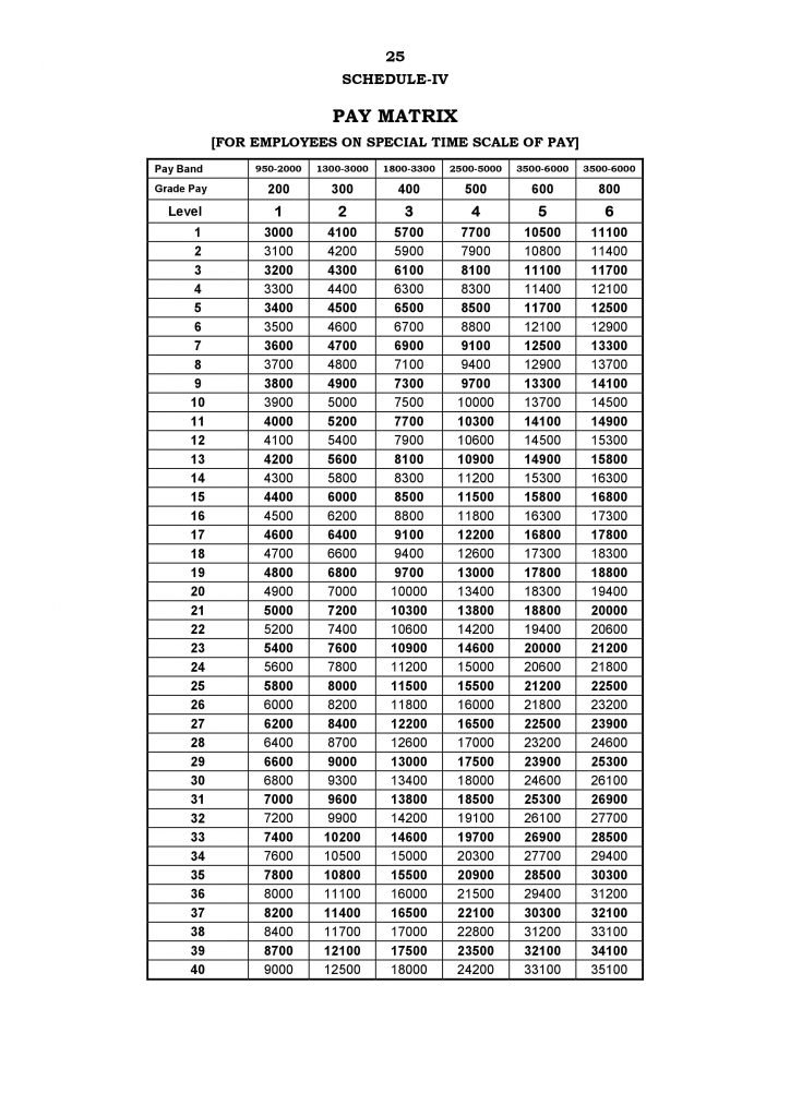 7th Pay Commission Tamil Nadu Pay Matrix Level – Special Time Scale Of ...